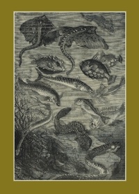 Alphonse Neuville - Carnet blanc : Vingt mille lieues sous les mers, Jules Verne, 1871 - Le Fleuve Noir.