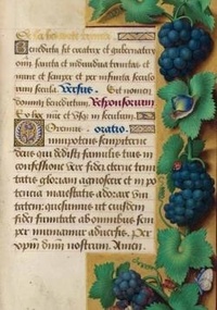  Hachette BNF - Carnet ligné Heures Anne de Bretagne, Raisin.