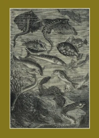 Carnet ligné : Vingt mille lieues sous les mers, Jules Verne, 1871