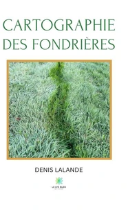 Cartographie des fondrières