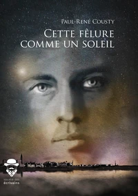 Cette fêlure comme un soleil