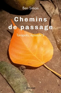 Chemins de passage Tarapoto