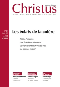 Les éclats de la colère