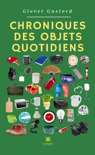 Chroniques des objets quotidiens