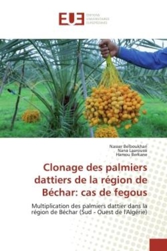Nasser Belboukhari - Clonage des palmiers dattiers de la région de Béchar: cas de fegous - Multiplication des palmiers dattier dans la région de Béchar (Sud - Ouest de l'Algérie).