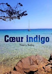 Coeur indigo