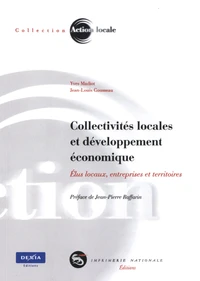 Collectivités locales et développement économique