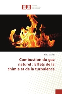 Ridha Ennetta - Combustion du gaz naturel : Effets de la chimie et de la turbulence.