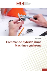 Commande hybride d'une machine synchrone
