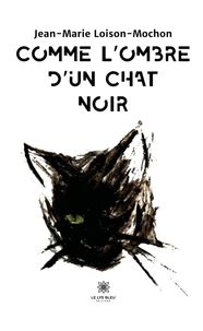 Comme l'ombre d'un chat noir