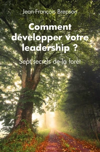 Comment développer votre leadership ?