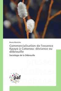 Commercialisation de lessence Kpayo à Cotonou: déviance ou débrouille