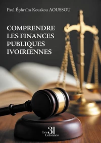 Comprendre les finances publiques ivoiriennes