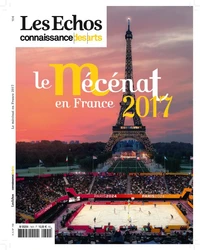 Le mécénat en France 2017