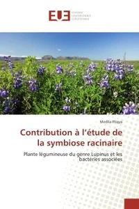 Contribution A l'etude de la symbiose racinaire