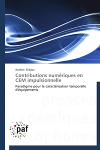 Contributions numériques en cem impulsionnelle