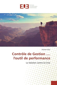 Contrôle de Gestion .... loutil de performance