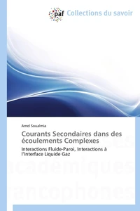 Courants secondaires dans des écoulements  complexes