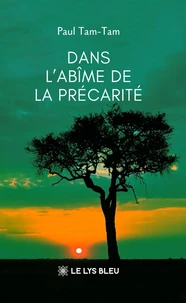 Dans l'abîme de la précarité