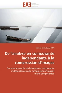 De l'analyse en composante indépendante à la compression d'images