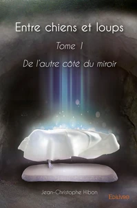 De l'autre côté du miroir - Tome 1