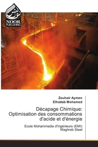 Zouhair Aymen - Décapage Chimique: Optimisation des consommations d'acide et d'énergie.