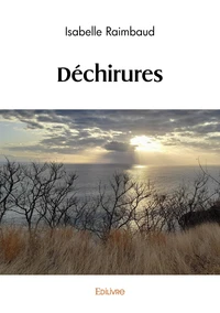 Déchirures