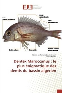 Anis mendil hamza Mohammed - Dentex Maroccanus : le plus énigmatique des dentis du bassin algérien.