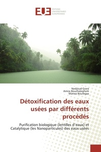 Nedjoud Grara - Détoxification des eaux usées par différents procédés.