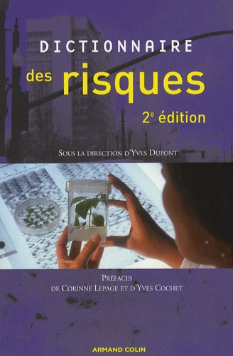 Dictionnaire des risques 2e édition