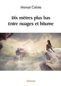 Dix mètres plus bas, entre nuages et bitume