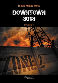 Downtown 3013