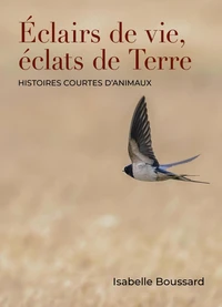 Éclairs de vie, éclats de Terre