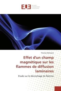 Effet d'un champ magnétique sur les flammes de diffusion laminaires