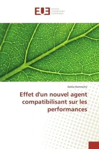 Effet d'un nouvel agent compatibilisant sur les performances