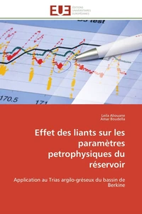 Effet des liants sur les paramètres petrophysiques du réservoir