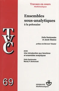 Ensembles sous-analytiques à la polonaise