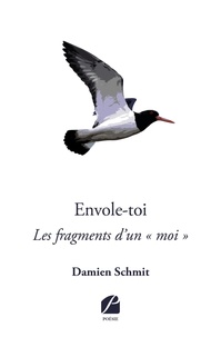 Damien Schmit - Envole-toi - Les fragments d'un «moi».