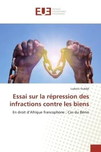 Essai sur la rEpression des infractions contre les biens