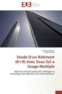 Etude D'un Bâtiment (R+9) Avec Sous Sol a Usage Multiple