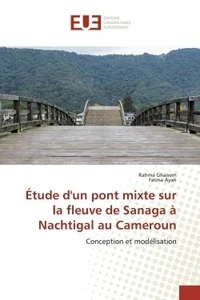 Etude d'un pont mixte sur le fleuve de Sanaga à Nachtigal au Cameroun