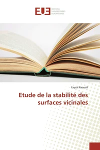 Etude de la stabilité des surfaces vicinales