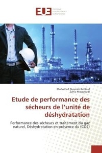 Mohamed Behloul - Etude de performance des secheurs de l'unite de deshydratation - Performance des secheurs et traitement du gaz naturel, Deshydratation en presence du (CO2).