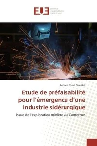 Etude de prefaisabilite pour l'emergence d'une industrie siderurgique
