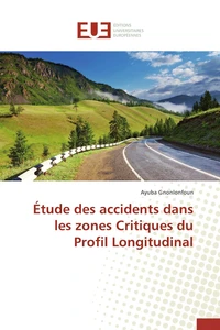 Étude des accidents dans les zones critiques du profil longitudinal