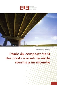 Etude du comportement des ponts à ossature mixte soumis à un incendie