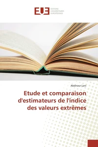 Etude et comparaison d'estimateurs de l'indice des valeurs extrêmes
