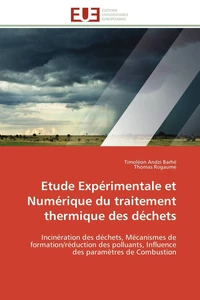 Etude Expérimentale et Numérique du traitement thermique des déchets