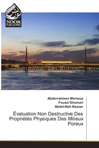 Evaluation non destructive des propriétés physiques des milieux poreux