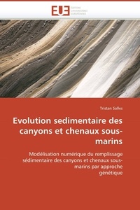 Tristan Salles - Evolution sédimentaire des canyons et chenaux sous-marins - Modélisation numérique du remplissage sédimentaire des canyons et chenaux sous-marins par approche génétique.